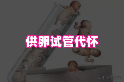 厦门助孕网站 2